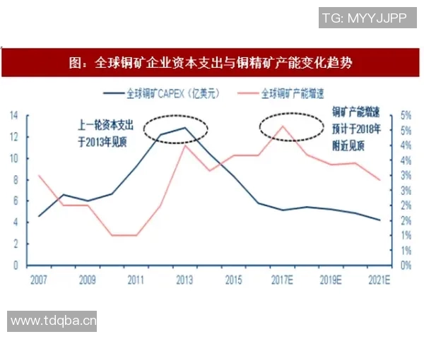 成都飞盘队运营策略深度分析与成功经验分享